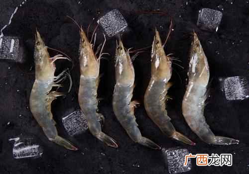 吃基围虾的头好吗吃海鲜尽量不要吃头 基围虾虾头能吃吗,吃基围虾的头好吗