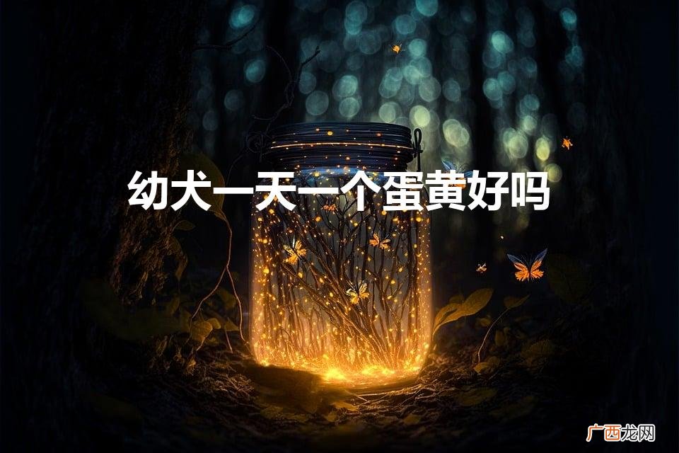 幼犬一天一个蛋黄好吗（狗狗绝对不能吃的18种食物)