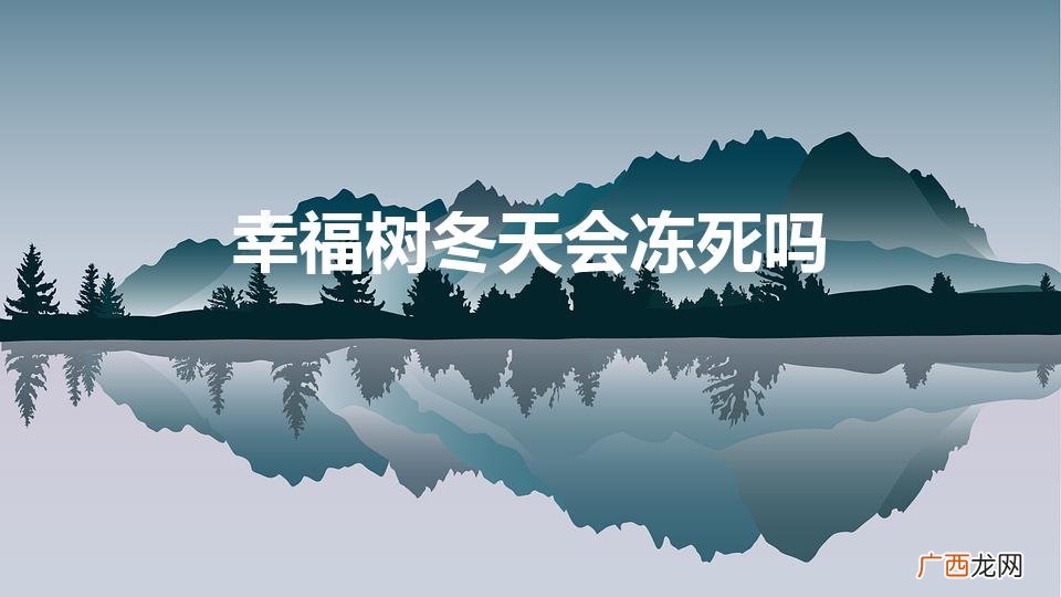 幸福树冬天会冻死吗（幸福树冬天会冻死吗?)