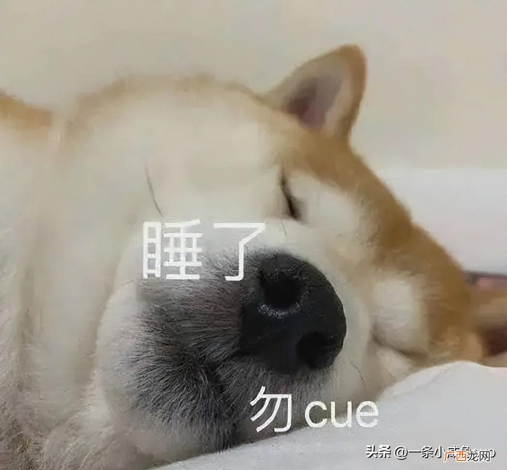 网络用语别cue我是什么梗 勿cue是什么意思
