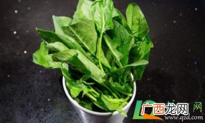 菠菜没煮熟有毒吗 菠菜没熟透有毒吗