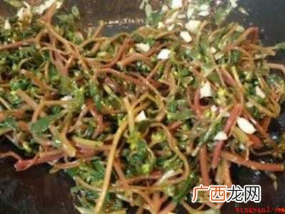 马齿苋怎么做才好吃营养的具体操作步骤 马齿苋怎么做才好吃营养