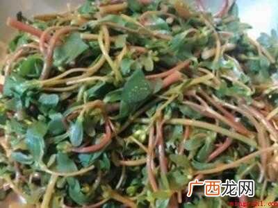 马齿苋怎么做才好吃营养的具体操作步骤 马齿苋怎么做才好吃营养