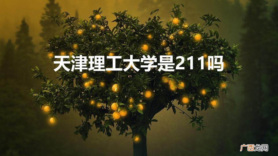 天津理工大学是211吗还是985 天津理工大学是211吗