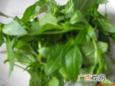 荆介菜怎么做好吃