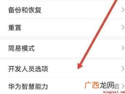 华为mate30开发者选项在哪的具体操作步骤 华为mate30开发者选项在哪