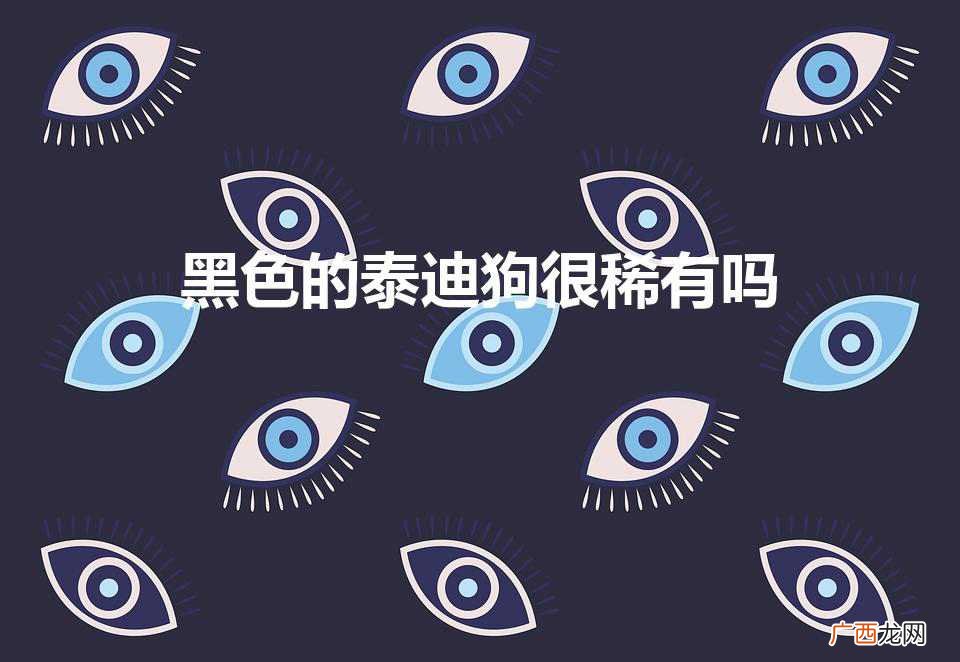 黑色的泰迪狗很稀有吗（泰迪狗黑色的值多少钱)