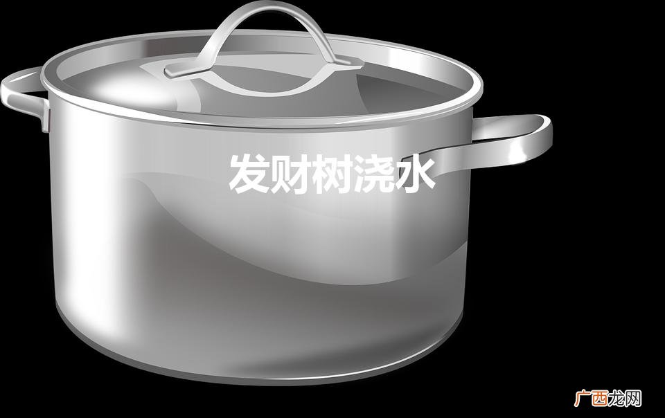发财树浇水（发财树浇水怎么浇)