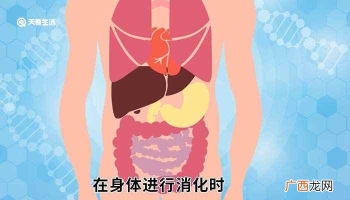 成人每日胆汁分泌量约800~1000ml 胆汁由哪个器官分泌的
