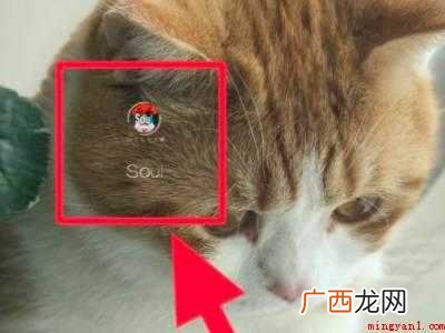 演示机型:Iphone 12 soul被拉黑怎么联系对方