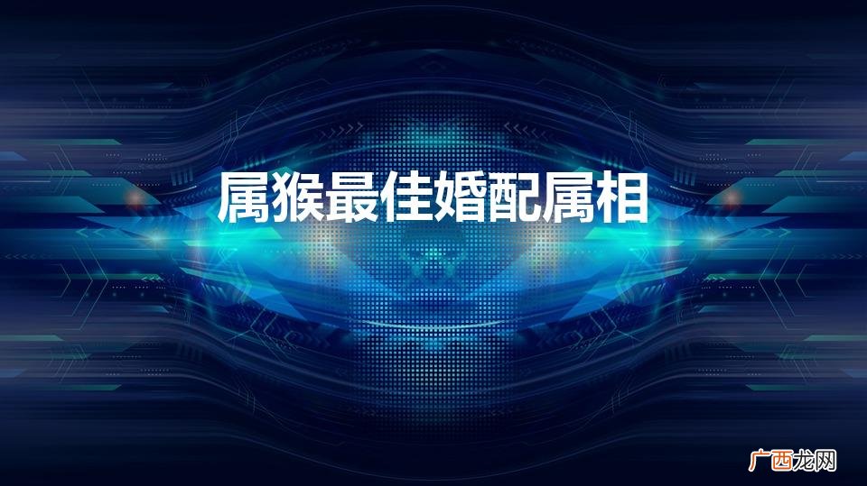 属猴最佳婚配属相最好 属猴最佳婚配属相