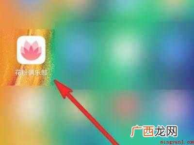荣耀手机怎样升级成鸿蒙系统
