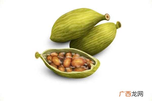 豆蔻的功效与作用 豆蔻的功效与作用是什么