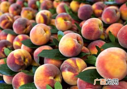 感冒发烧可以吃水蜜桃吗 感冒可以吃水蜜桃吗