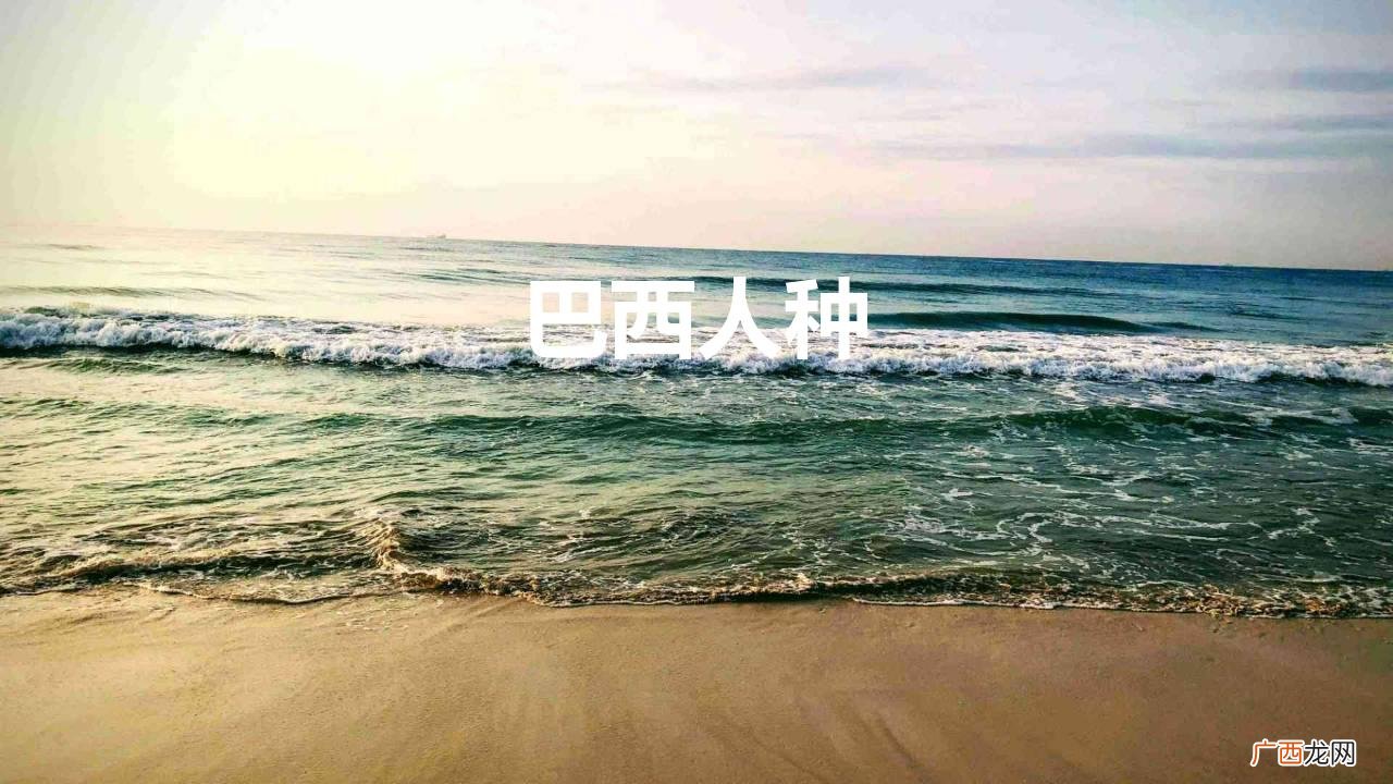 巴西土著居民是什么人种 巴西人种以什么人种为主