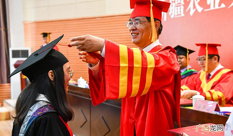 区别是什么 博士和教授哪个学历高