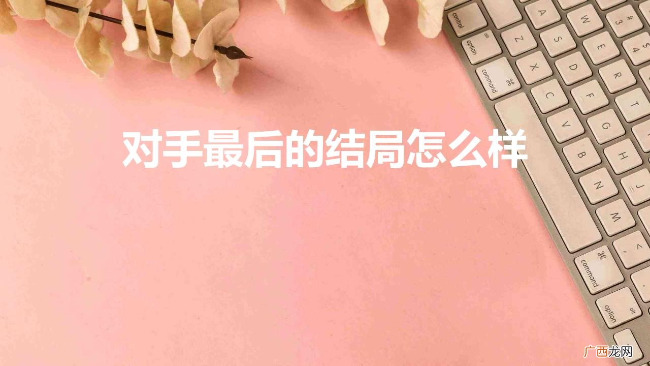 电视剧对手的大结局是怎样的 对手最后的结局怎么样