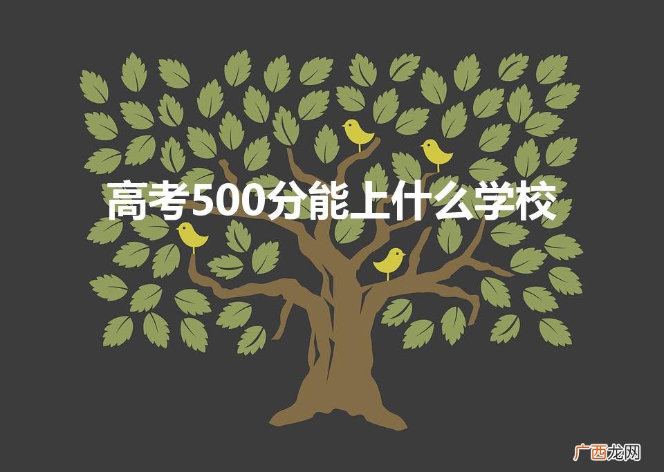 高考500分能上什么大学 高考500分能上什么学校