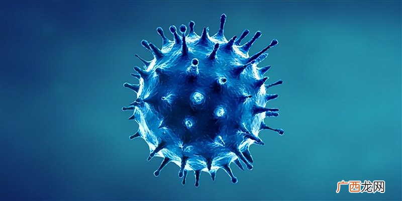 外星人最新消息 埃博拉为什么叫僵尸病毒
