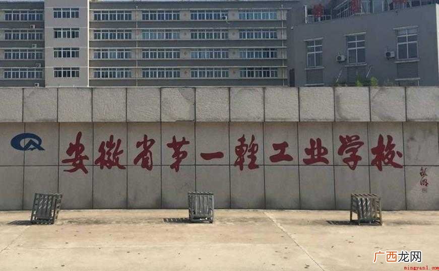 安徽电子信息职业技术学院 安徽电子信息职业技术学院面积多大