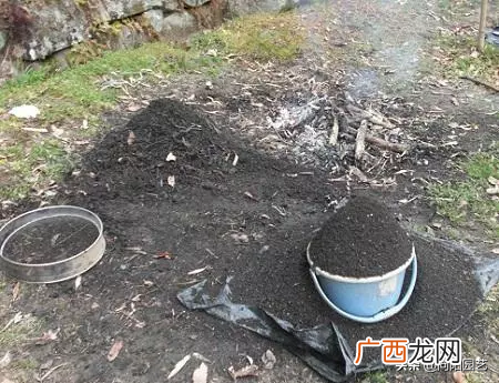 草木灰养花的正确使用方法 草木灰可以直接拌土用养花吗