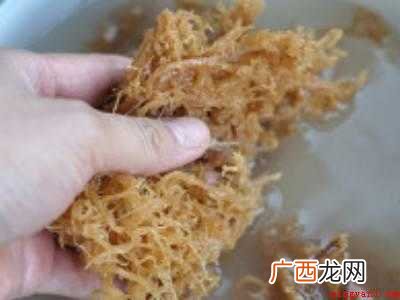 鹿角菜怎么凉拌