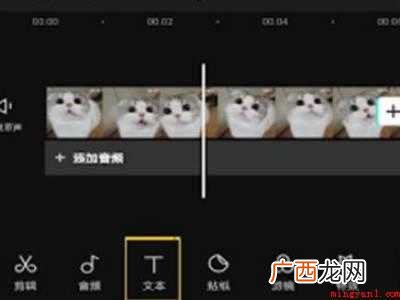 演示机型:Iphone 12 剪映怎么提取音频字幕