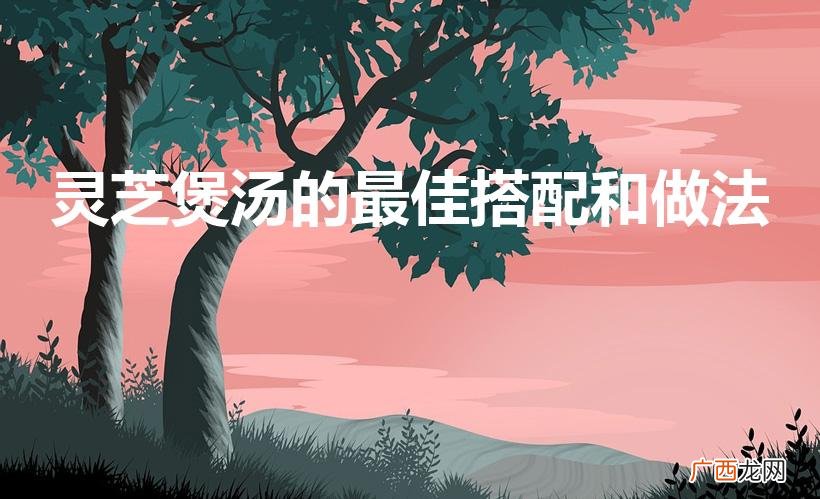 灵芝如何食用 灵芝煲汤的最佳搭配和做法