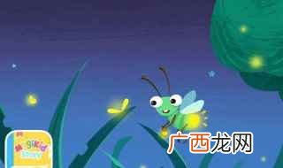 萤火虫的功效与作用有哪些 怎么养萤火虫