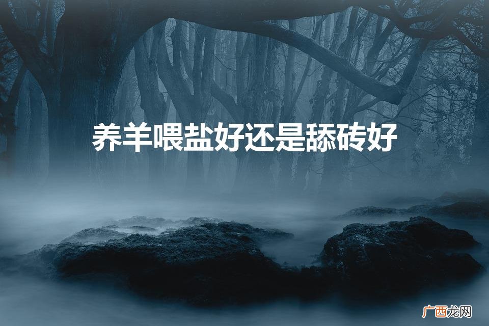 养羊喂盐好还是舔砖好（养羊用喂盐吗?)