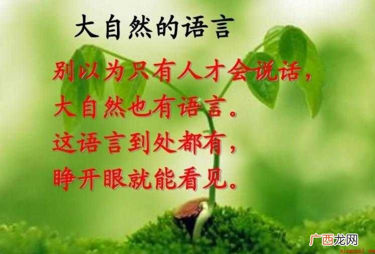 大自然的语言教学目标是什么 《大自然的语言》教学目标是什么