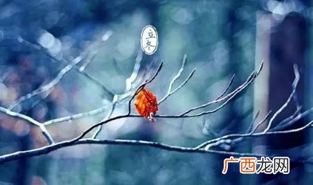 立冬就是入冬了吗 立冬后是不是正式入冬了
