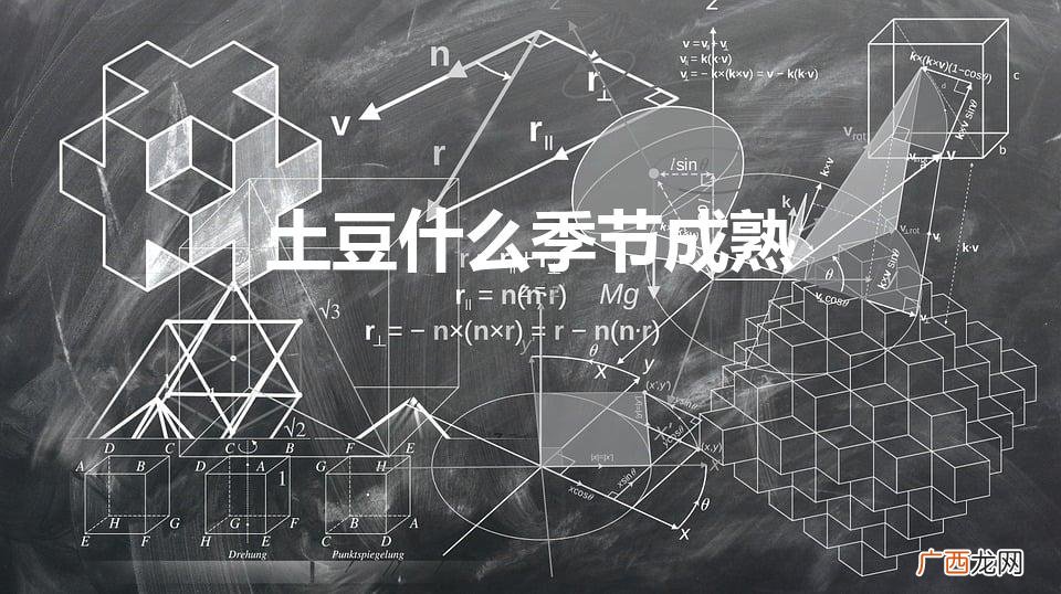 红薯粉条是什么 土豆什么季节成熟