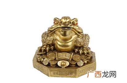不同类型的金蟾摆放位置讲究 金蟾摆放客厅哪里最好