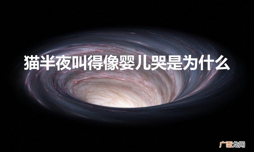 猫晚上叫的像小孩哭声 猫半夜叫得像婴儿哭是为什么