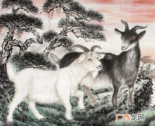 67年属羊出生月份不同命运不同 1967年属羊的是什么命