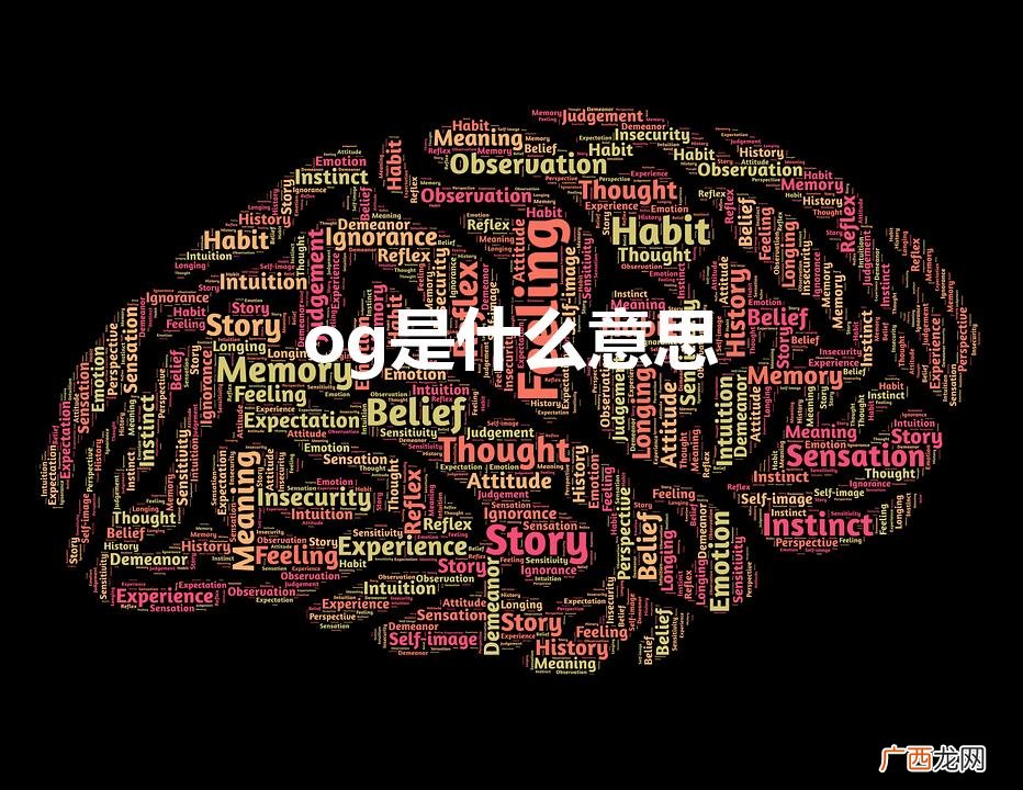 香港og是什么含义 og是什么意思