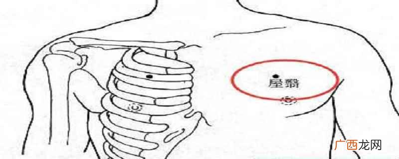屋翳这个穴位有什么用处 屋翳是什么意思