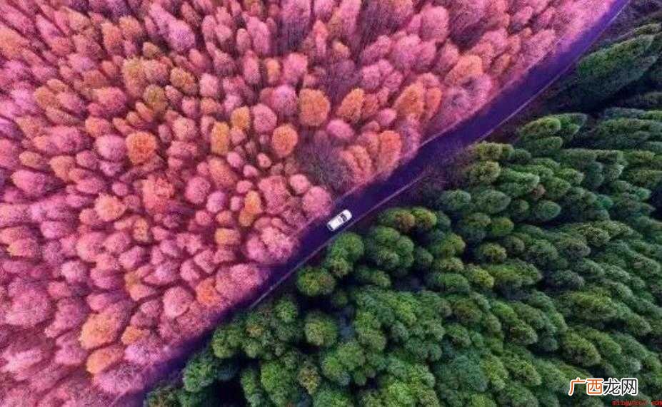 截然不同的近义词是什么
