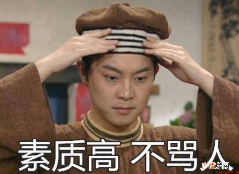 骂人的最高境界句子有哪些