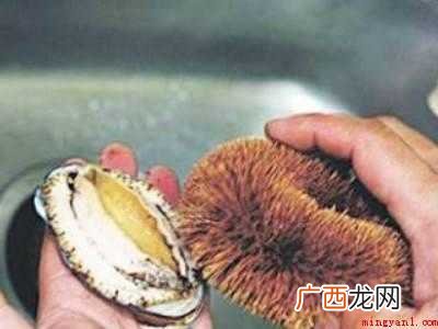 活鲍鱼怎么处理