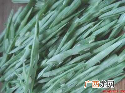 四季梅豆角怎么炒好吃