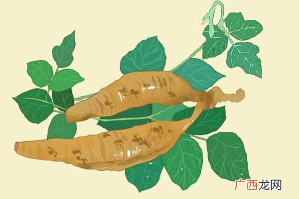 来例假要吃一些清淡易消化营养丰富的食物 来例假了吃什么好