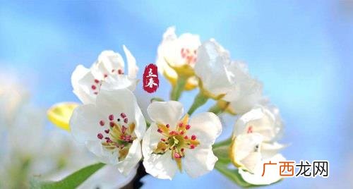 躲春要躲开家人吗 躲春自己家人也要避开吗
