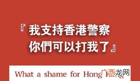 ins怎样用 ins是啥软件啊