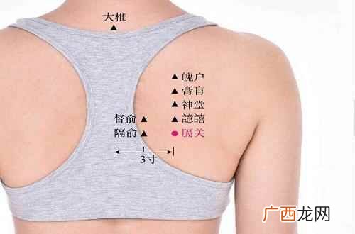 膈关的准确位置图作用 膈关的准确位置图