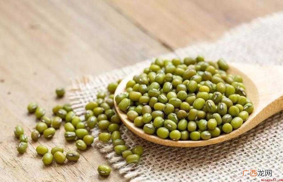 观察日记范文有哪些