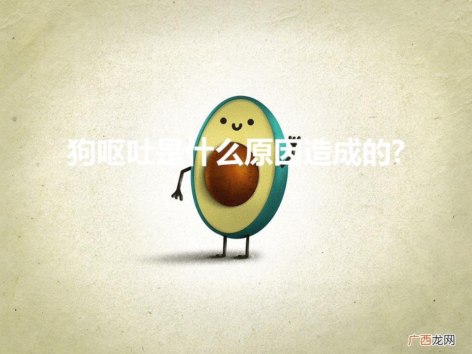 狗呕吐是什么原因造成的?（狗呕吐是什么原因造成的?荸荠)