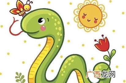 十二生肖美肖有三个 美肖是指哪几个生肖