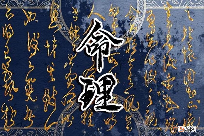 属兔人有什么特点 2023年出生的兔宝宝是什么命